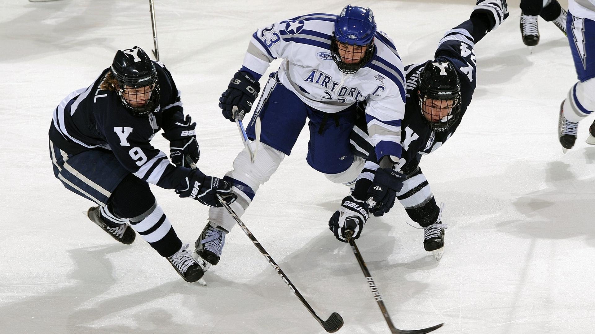 青少年“绿色运动”公益行动在新疆持续推行，践行低碳生活理念